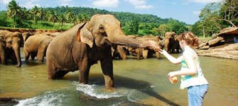 Negombo - Pinnawala - Kandy Tour